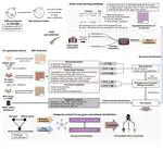 Leveraging Multi-Omics Biomedical Data and Machine Learning Techniques for Improving Gastric Cancer Prevention